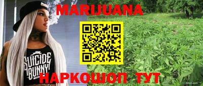 винт Тара