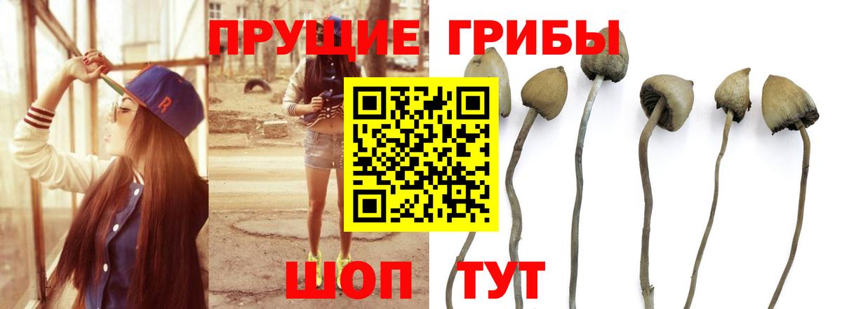 Галлюциногенные грибы Magic Shrooms  Вход с VPN  Нефтекамск 